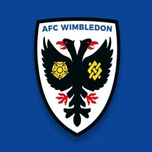 AFC-Wimbledon-custom-wristbands-uk-300x300