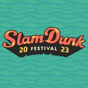 Salm-dunk-festival-custom-wristbands-uk-300x300